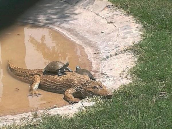 Imagen 8 Control Vital foto