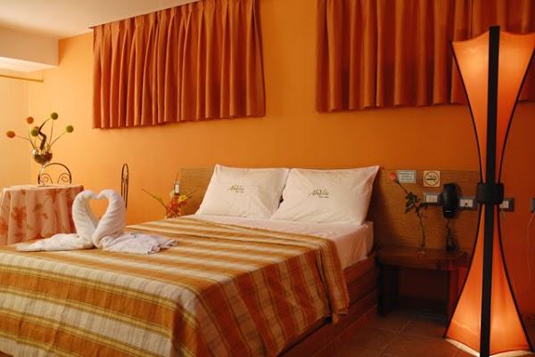 Imagen 5 TODOPARAPENTE foto