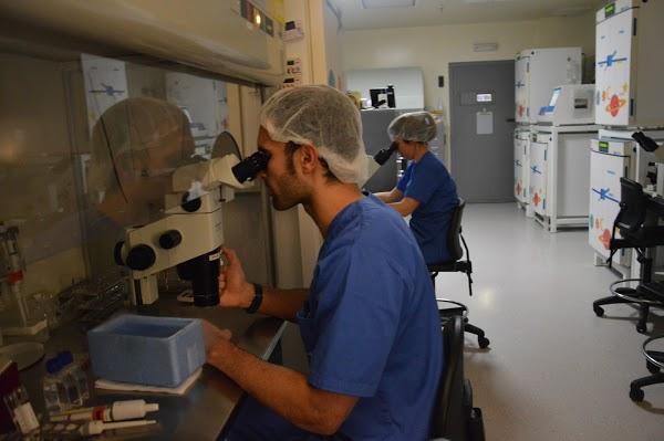 Imagen 66 Institut Marques Obstetricia I Ginecologia SLP foto