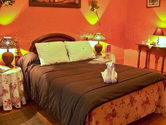 Imagen 2 Instituto Alexander Dul foto