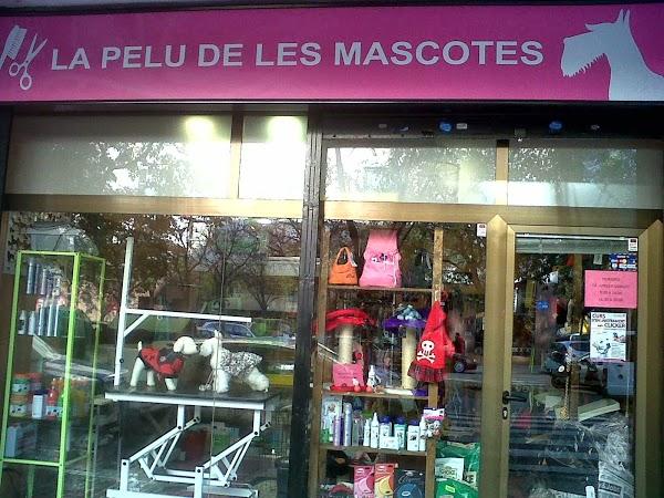 Imagen 48 La Pelu De Les Mascotes foto