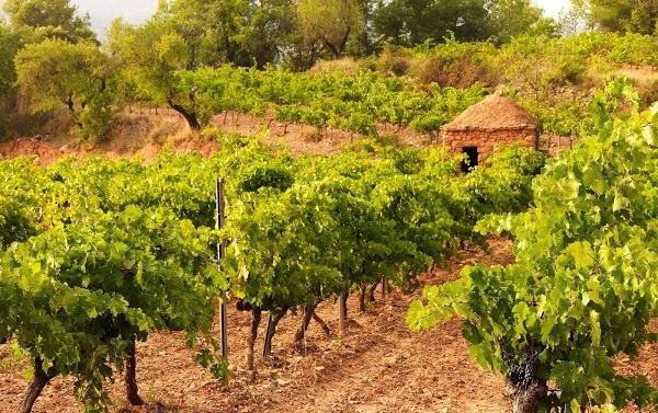 Imagen 5 Acuario Costa Rica foto