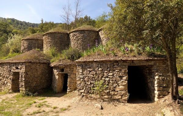 Imagen 6 Acuario Costa Rica foto