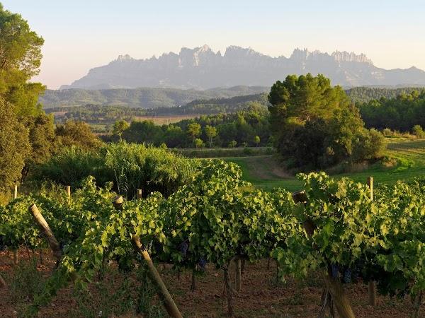 Imagen 7 Acuario Costa Rica foto