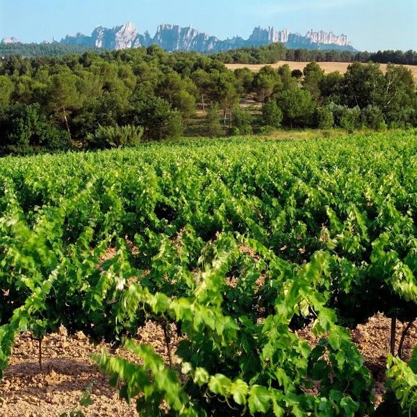 Imagen 8 Acuario Costa Rica foto