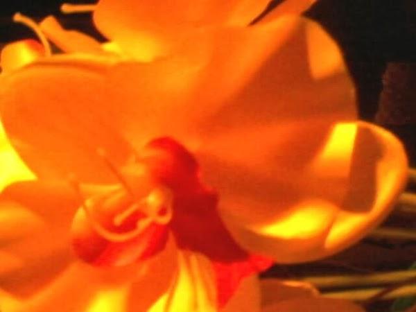 Imagen 6 Casa del Migrante foto