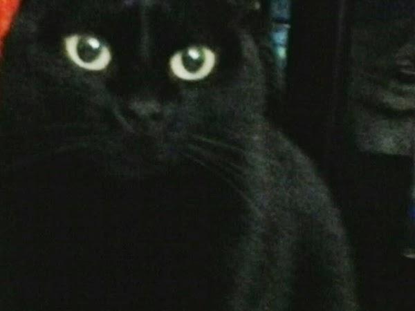 Imagen 8 Casa del Migrante foto