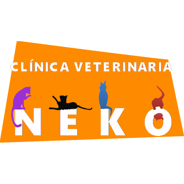 Imagen 89 Clinica Veterinaria Neko foto
