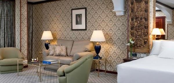 Imagen 9 Veterinaria Rafaela foto