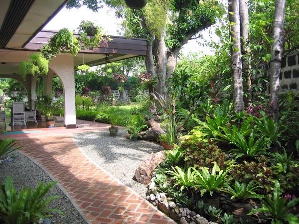 Imagen 2 THC Girona foto