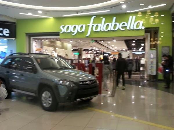 Imagen 12 THC Girona foto