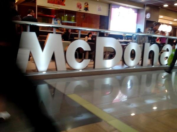 Imagen 13 THC Girona foto