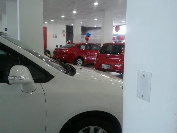 Imagen 15 THC Girona foto