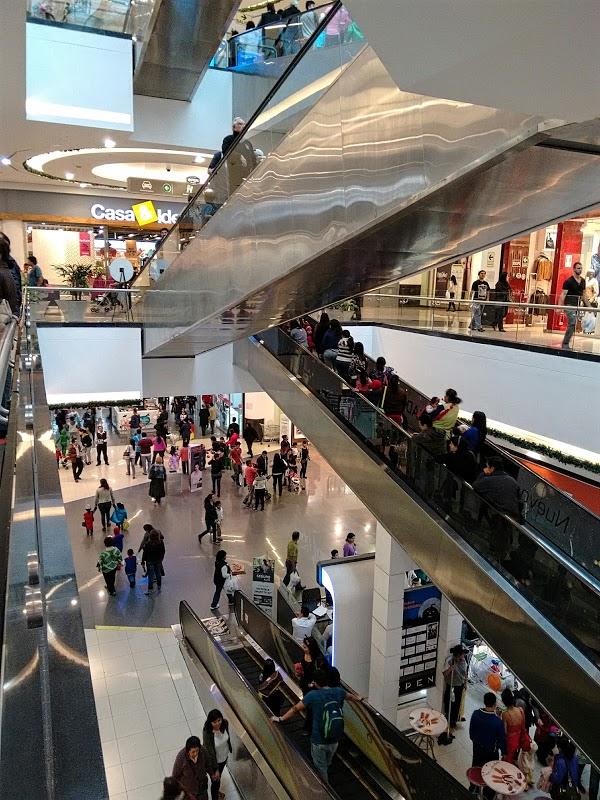 Imagen 25 THC Girona foto