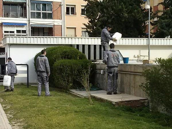 Imagen 31 THC Girona foto