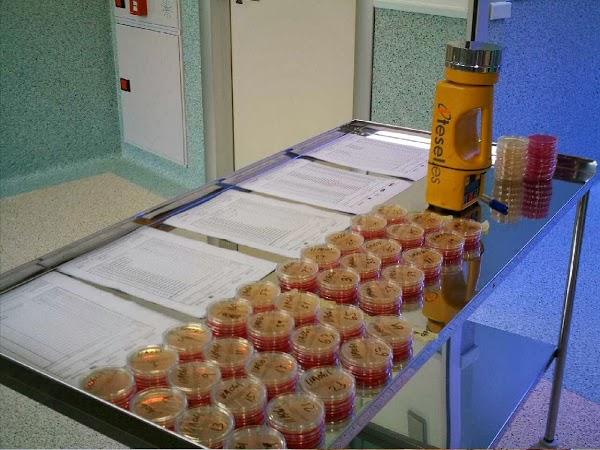 Imagen 32 THC Girona foto