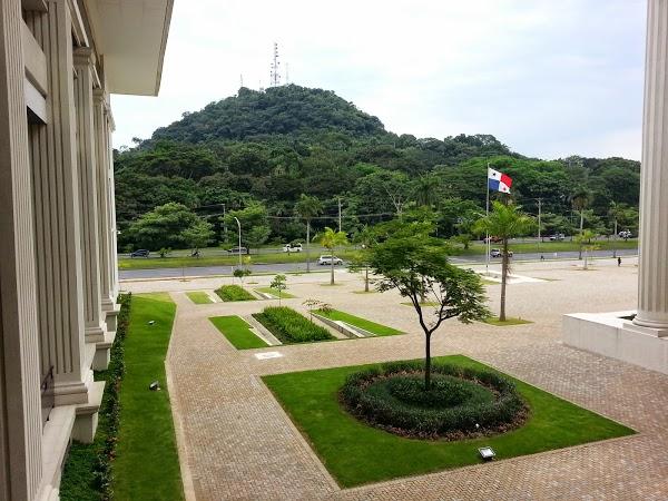 Imagen 14 Centro Veterinario El Deleite foto