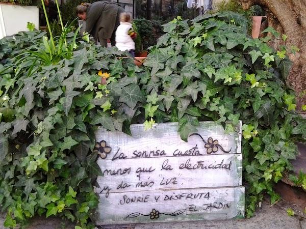 Imagen 62 floristería layana foto