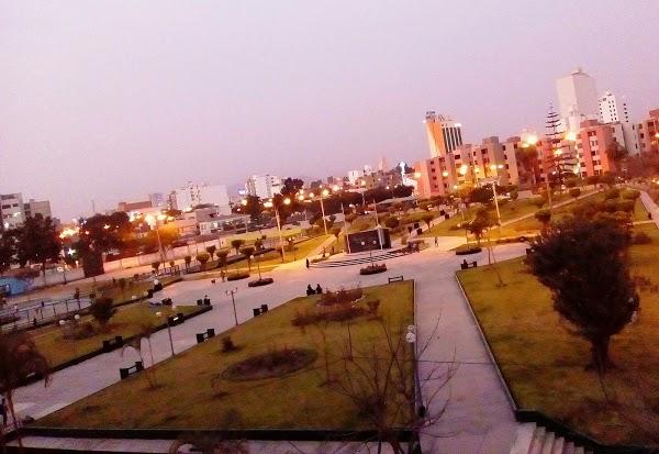 Imagen 83 floristería layana foto