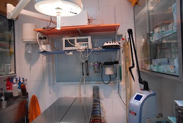 Imagen 2 Todomoto foto