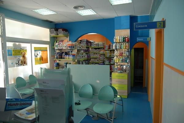 Imagen 11 Todomoto foto