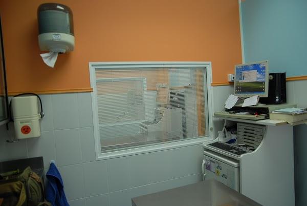 Imagen 5 Todomoto foto