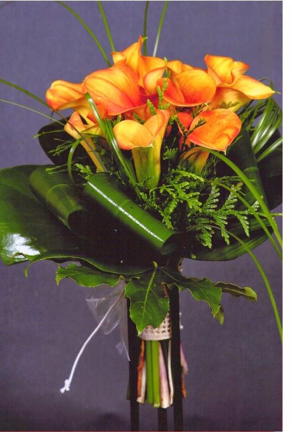 Imagen 3 Basílica de San Antonio de Padua foto