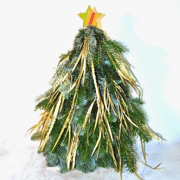 Imagen 4 Basílica de San Antonio de Padua foto