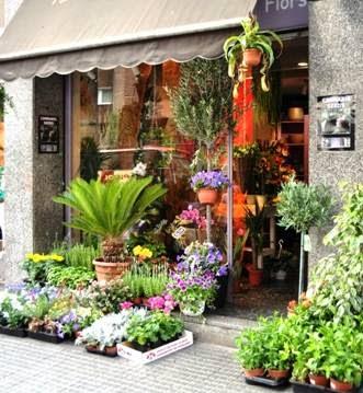 Imagen 5 Basílica de San Antonio de Padua foto