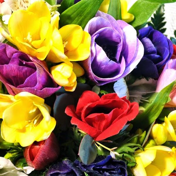 Imagen 6 Basílica de San Antonio de Padua foto