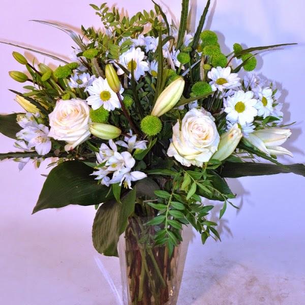 Imagen 9 Basílica de San Antonio de Padua foto