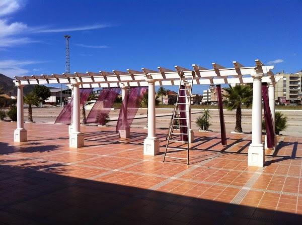 Imagen 16 Arrocería La Plaza foto