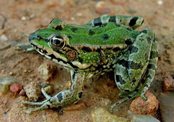 Imagen 1 Consorcio Hospital General Universitario de Valencia foto