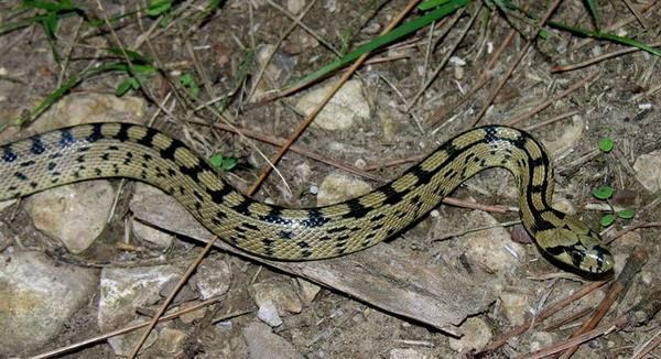 Imagen 2 Consorcio Hospital General Universitario de Valencia foto