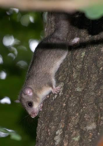 Imagen 4 Consorcio Hospital General Universitario de Valencia foto