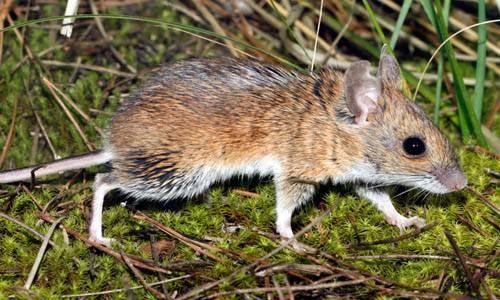 Imagen 5 Consorcio Hospital General Universitario de Valencia foto