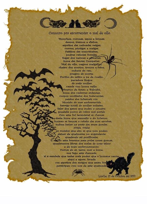 Imagen 154 Luache Meiga Gallega - Cartas druídas Celtas foto