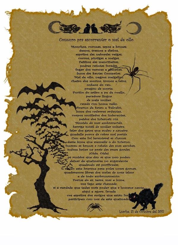 Imagen 21 Luache Meiga Gallega - Cartas druídas Celtas foto