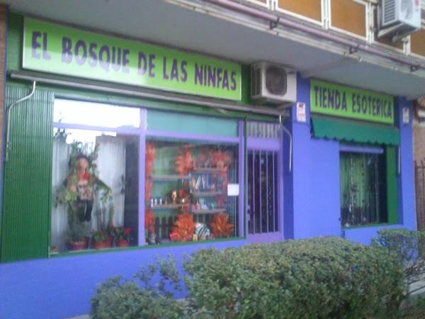 Imagen 202 El Bosque De Las Ninfas foto