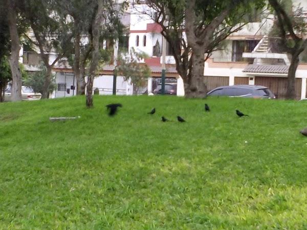 Imagen 21 Fitness Canarias foto