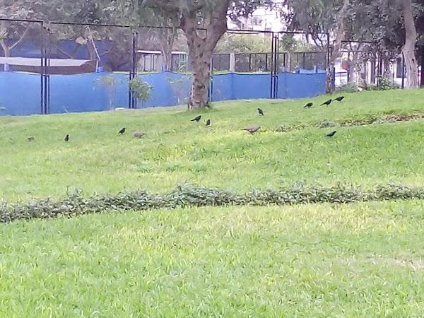 Imagen 36 Fitness Canarias foto