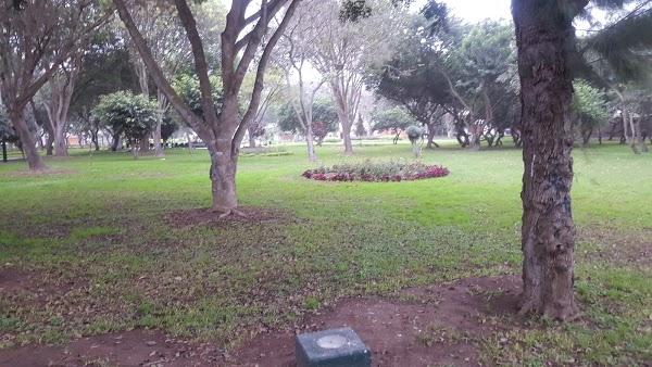 Imagen 38 Fitness Canarias foto