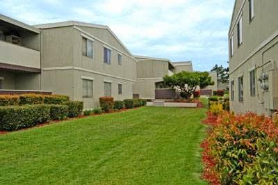 Imagen 6 English 1 foto