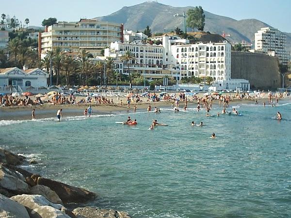 Imagen 12 Telepizza foto