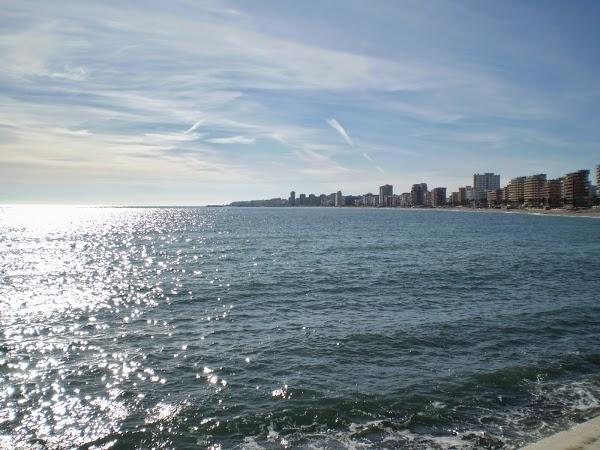 Imagen 14 Telepizza foto