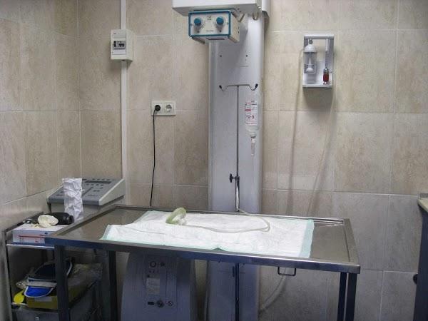 Imagen 11 Servicio Provincial de Educación Cultura y Deporte foto