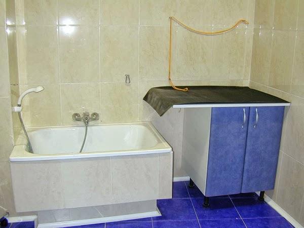 Imagen 14 Cerámica Rosi foto