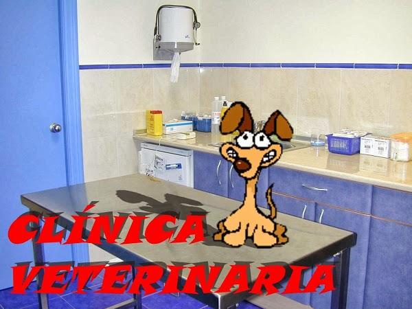 Imagen 15 Cerámica Rosi foto