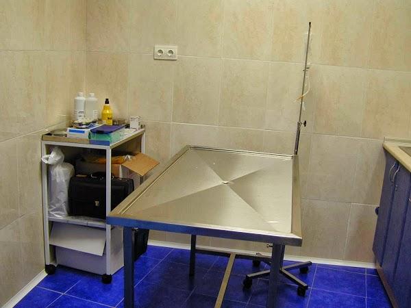 Imagen 6 Servicio Provincial de Educación Cultura y Deporte foto