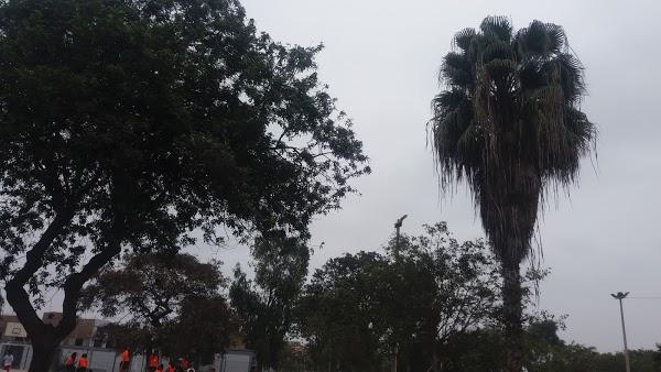 Imagen 75 Parque Ecológico Municipal de San Martín de Porres foto